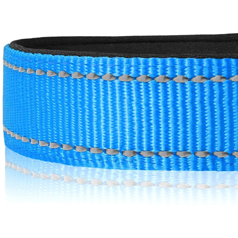 Joytale Reflective Dog Collar, Soft Neoprene Padded, Metal D-Ring, Nylon Pet Collar Adjustable for Small Dogs, Sky Blue, S - Image 4